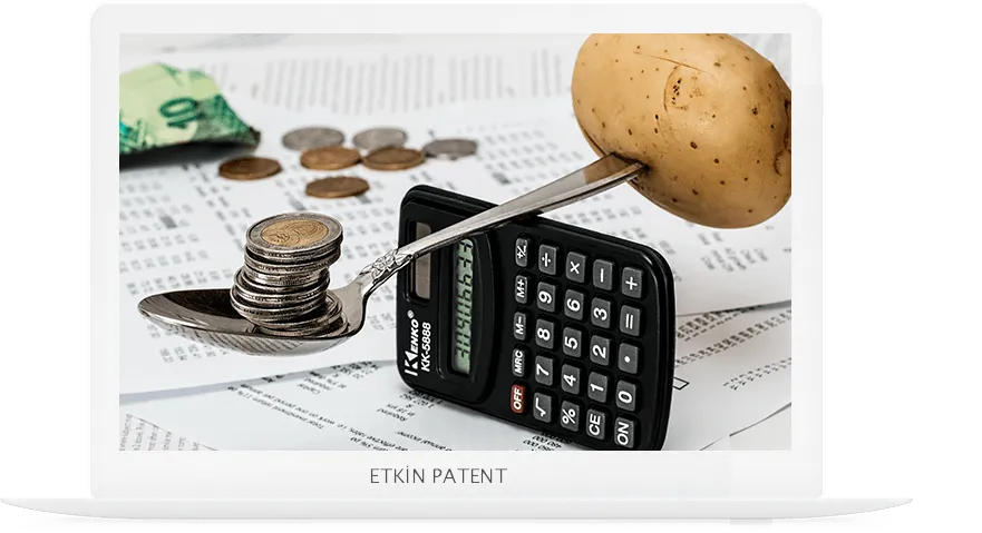 finansal davranışlara dair kombinasyon modeller-zonguldak patent